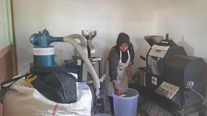 Harga Biji Kakao Januari 2026 Turun Akibat Peningkatan Produksi di Afrika Barat