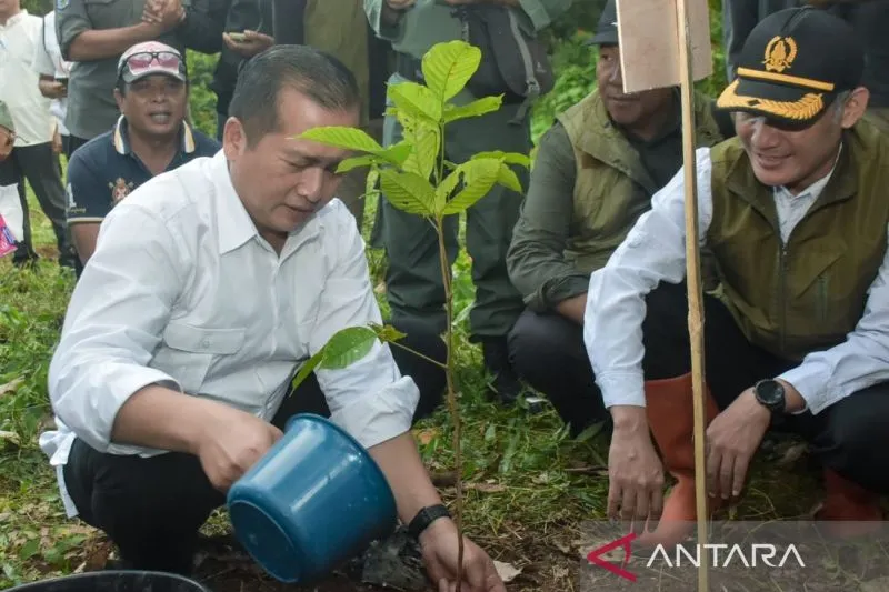Gubernur NTB Serukan Upaya Penghijauan dan Pelestarian Hutan di Tengah Banjir