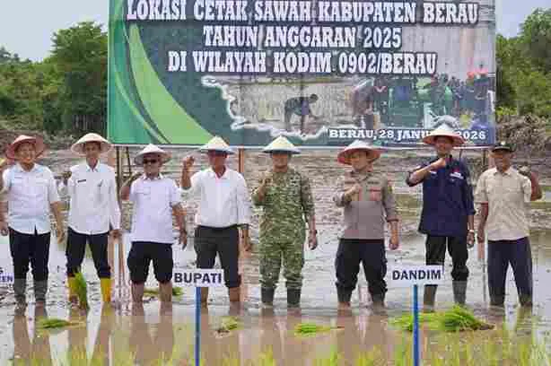 APBN Dorong Peningkatan Produksi Pertanian Melalui Optimasi Lahan di Berau