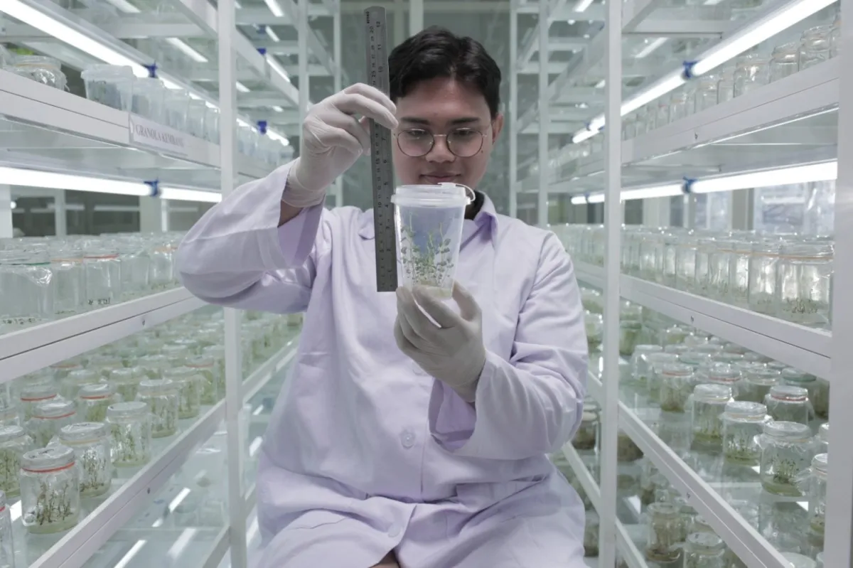 UMM Siap Gelar Olimpiade Sains Nasional 2025