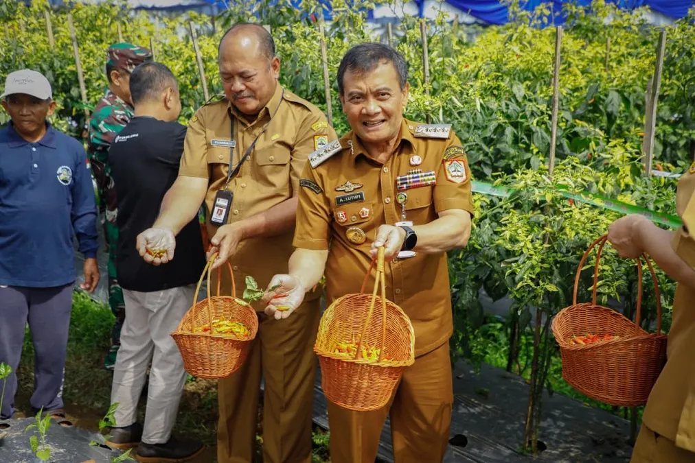 Jateng Perkuat Ketahanan Pangan dan Inflasi Melalui Produksi Cabai