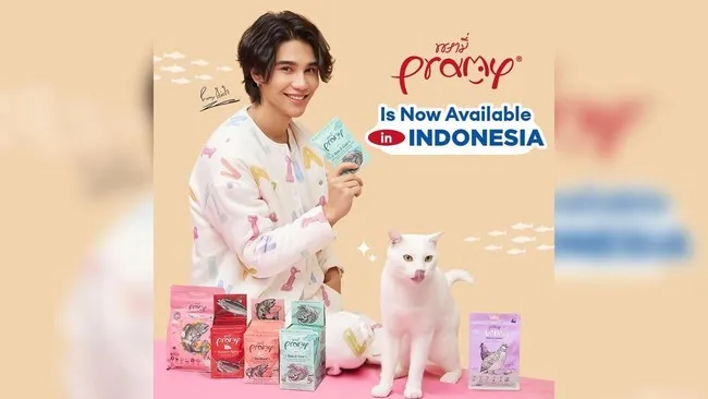 Kematian Khai Kaow, Kucing Influencer yang Menginspirasi, Mengundang Duka Mendalam