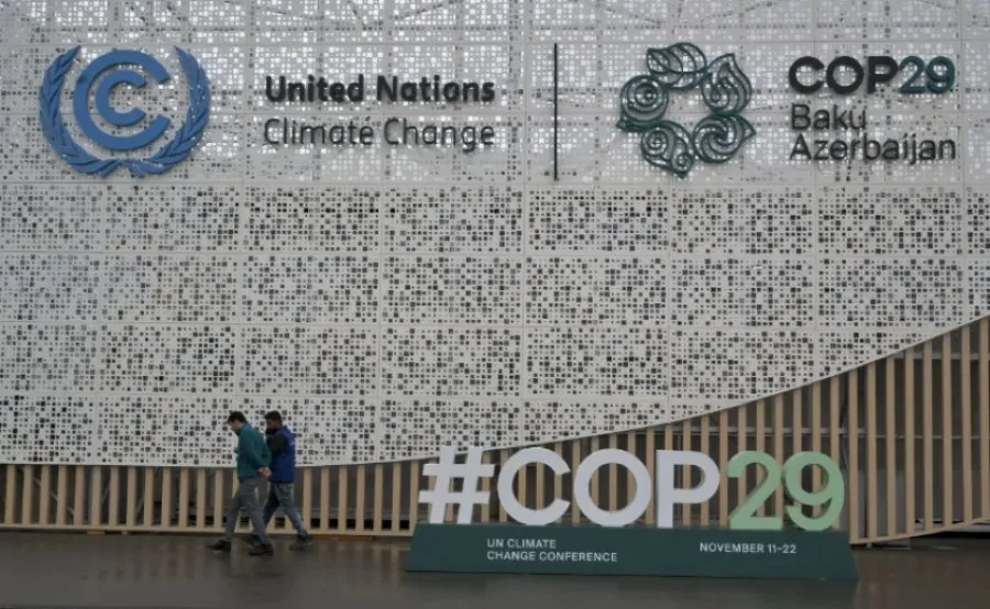 Walhi Kritik Pernyataan Pemerintah Indonesia Tentang Deforestasi di COP 29