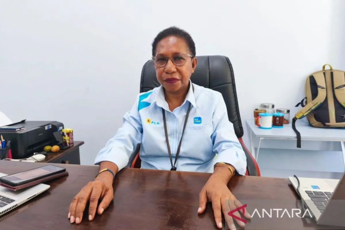Kementerian ESDM dan PLN Perluas Akses Listrik untuk 3.500 Rumah di Papua Tengah
