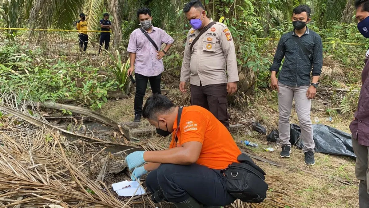 Penemuan Mayat Bocah di Indragiri Hulu, Diduga Korban Pembunuhan