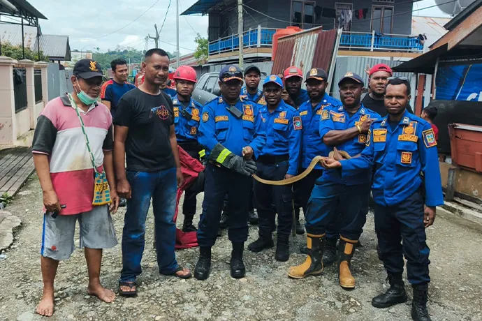 Tim Damkar Evakuasi Ular yang Masuk ke Rumah Warga