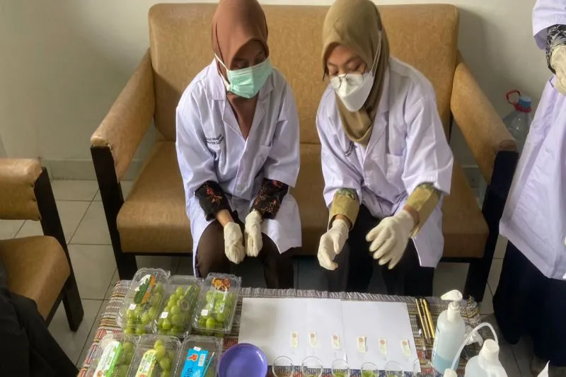 Uji Cepat Residu Pestisida pada Anggur Muscat di Sleman
