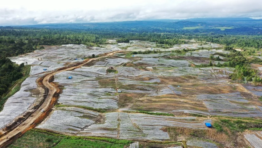 Proyek Food Estate di Merauke Menuai Kontroversi di Hari Pangan