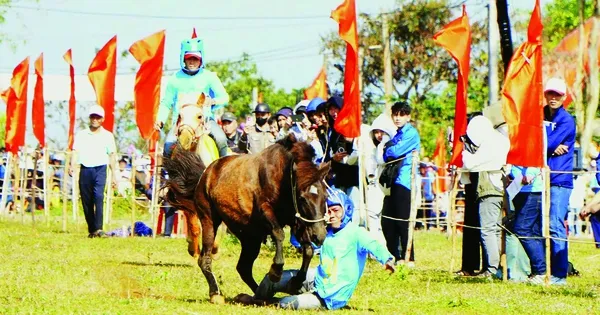Keceriaan Festival Pacuan Kuda Phu Yen di Tahun Baru Imlek
