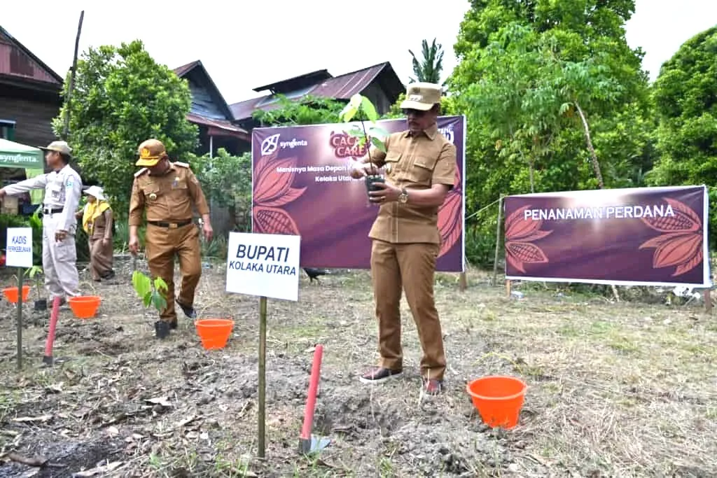Kolaka Utara Fokus Kembangkan Kakao sebagai Pilar Ekonomi Kerakyatan