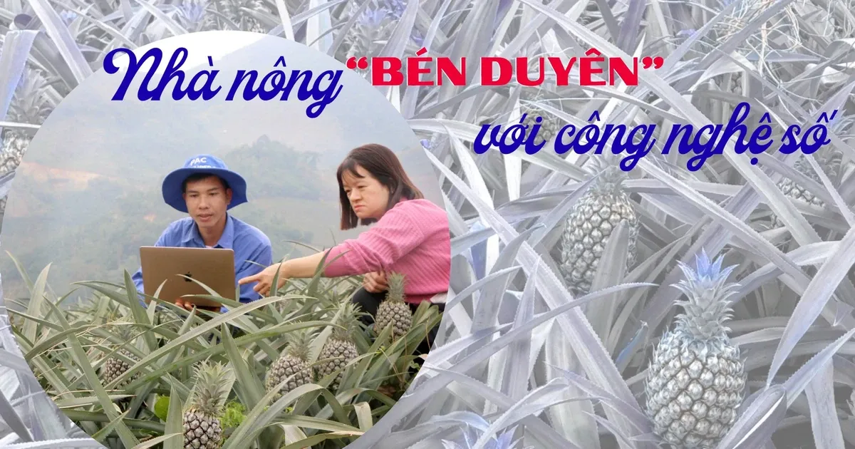 Petani Bertransformasi Melalui Teknologi Digital untuk Tingkatkan Produksi