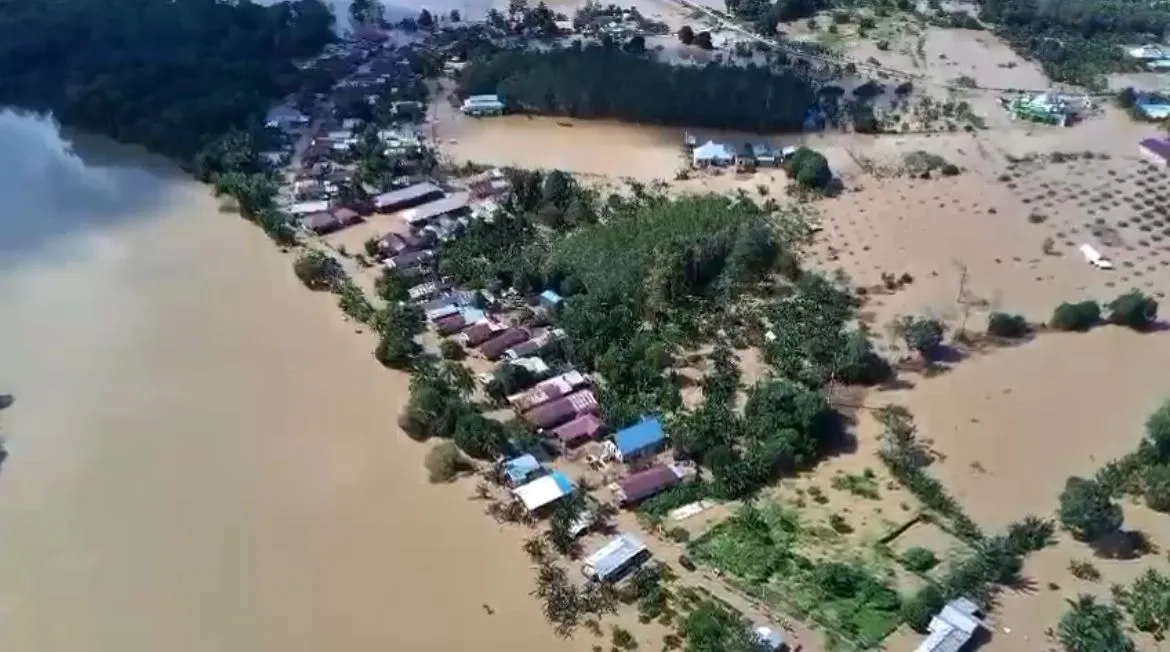 Dampak Banjir Terhadap Sentra Perkebunan Kakao di Berau