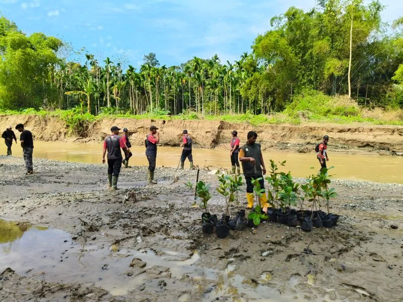 Penghijauan di Sungai Beuracan: Harapan Baru Usai Bencana