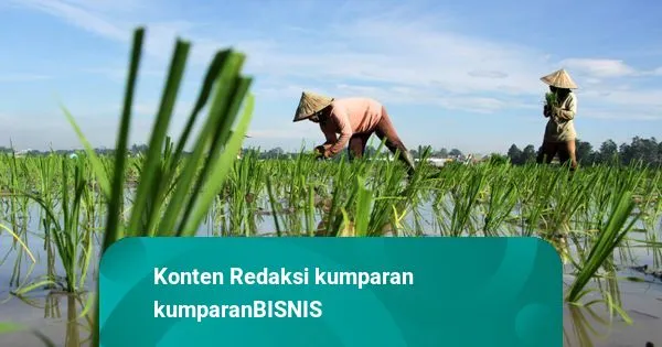 Indonesia dan Australia Perkuat Kerja Sama Investasi di Sektor Energi dan Pangan