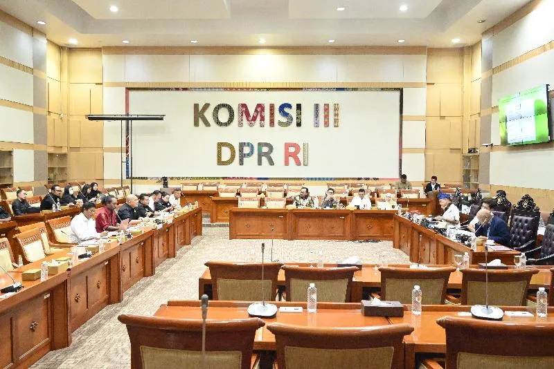 Dominasi Lulusan S1 dalam Latar Belakang Pendidikan Anggota DPR 2024-2029