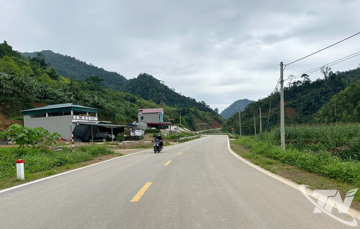 Badan Pengelola Proyek Utara Capai Kemajuan dalam Pembangunan Transportasi dan Pertanian