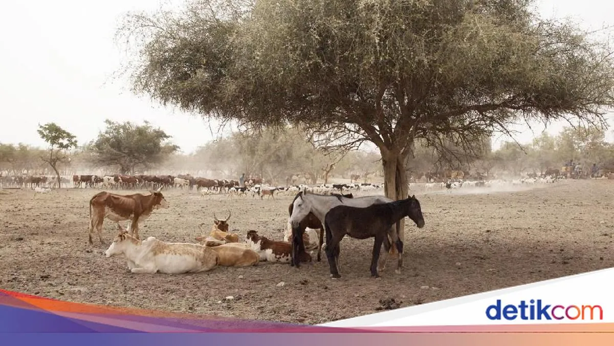 Milenial Diundang Berperan Aktif Atasi Perubahan Iklim
