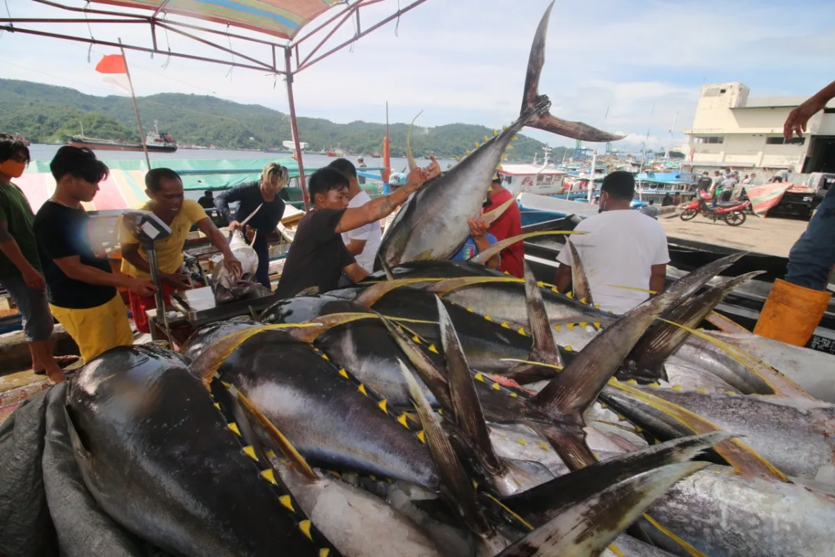 Surplus Neraca Perdagangan Perikanan Indonesia Capai Rp 94,2 Triliun di 2025
