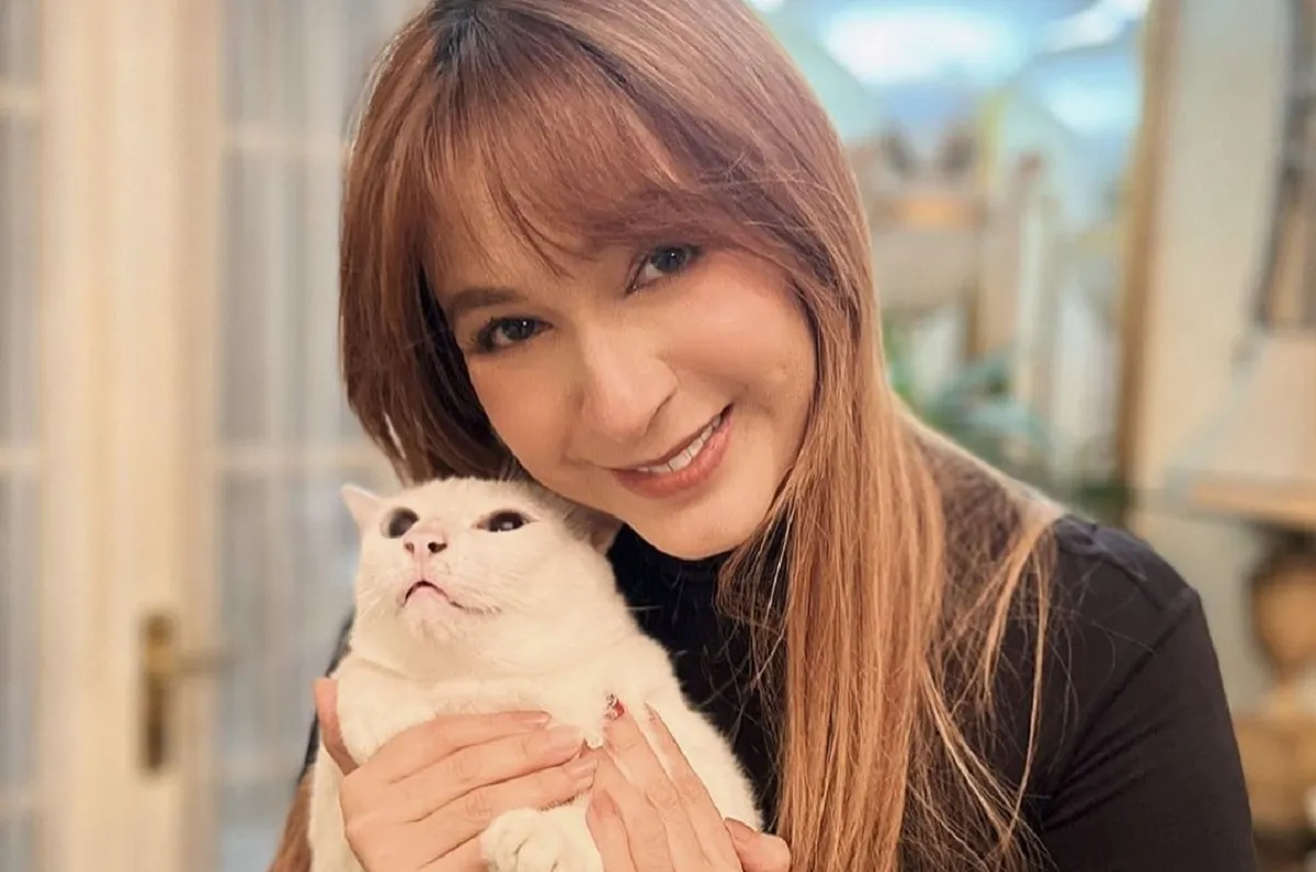 Patah Hati: 10 Artis yang Pergi karena Kanker