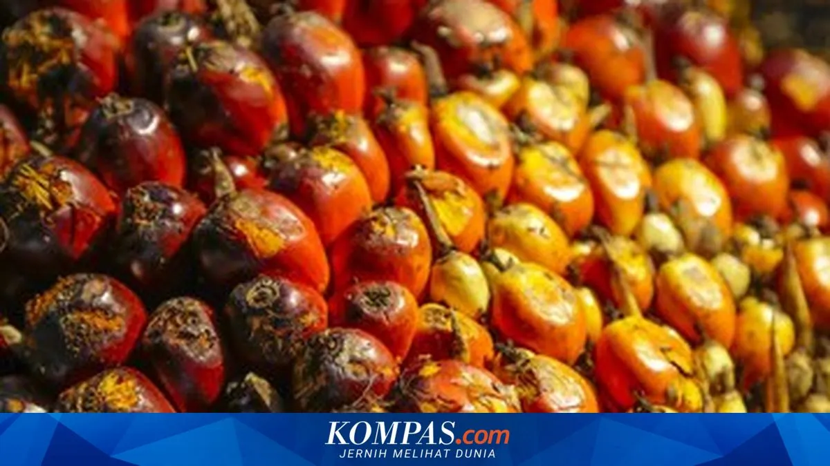 BPDP Dorong Daya Saing UMKM Sawit Melalui Inovasi Hilirisasi