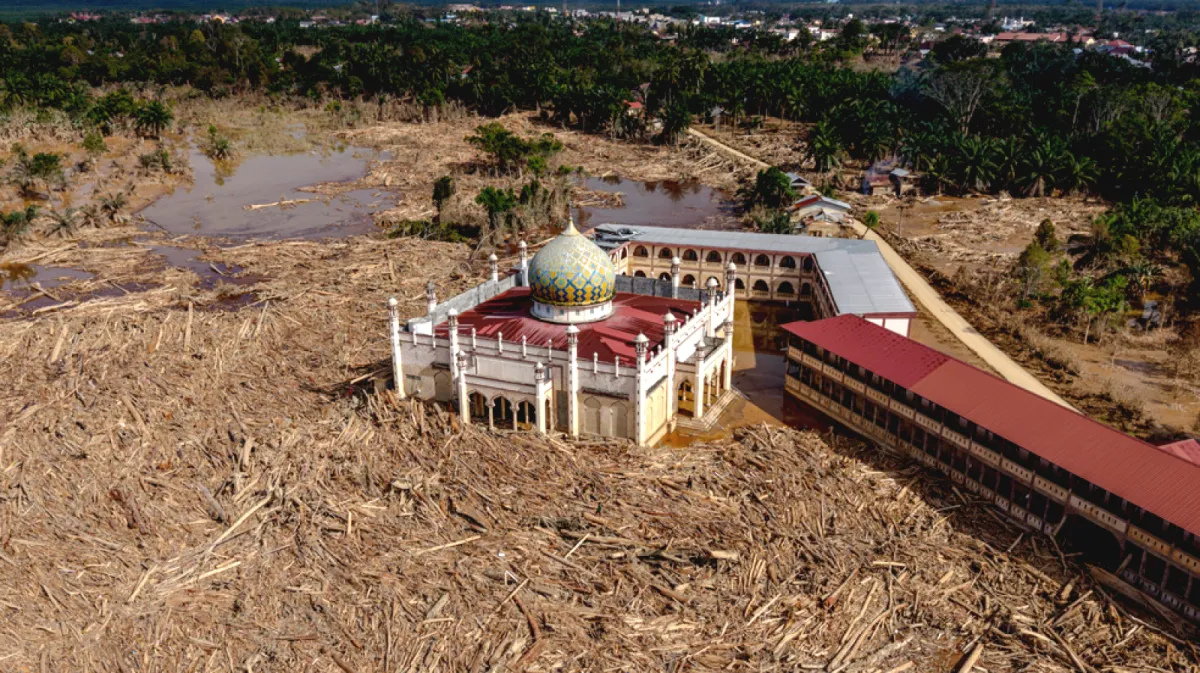 Pencabutan Izin Perusahaan Korporasi di Sumatera: Upaya Politisi Lindungi Kepentingan Bisnis