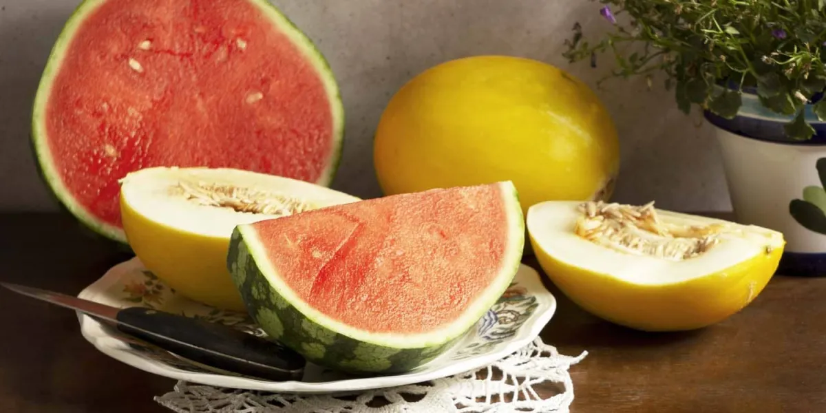 Rekomendasi Buah Sehat untuk Berbuka Puasa oleh Prof Katrin Roosita