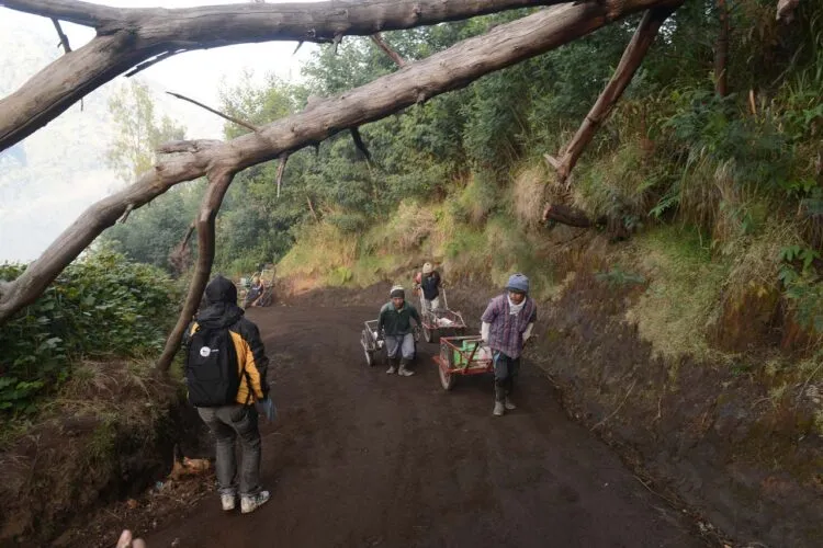Pendaki Hilang di Jalur Kawah Ijen, Tim SAR Dikerahkan untuk Pencarian