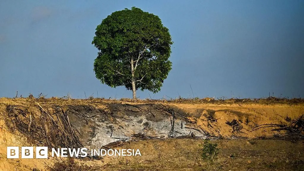 Pemerintah Gugat Rp4,8 Triliun untuk Pemulihan Ekologis di Sumatra