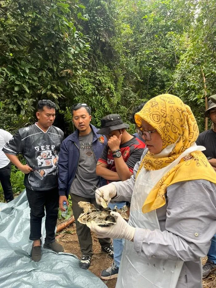 Gajah Sumatera Ditemukan Mati di Ukui, RAPP dan Jikalahari Serukan Investigasi