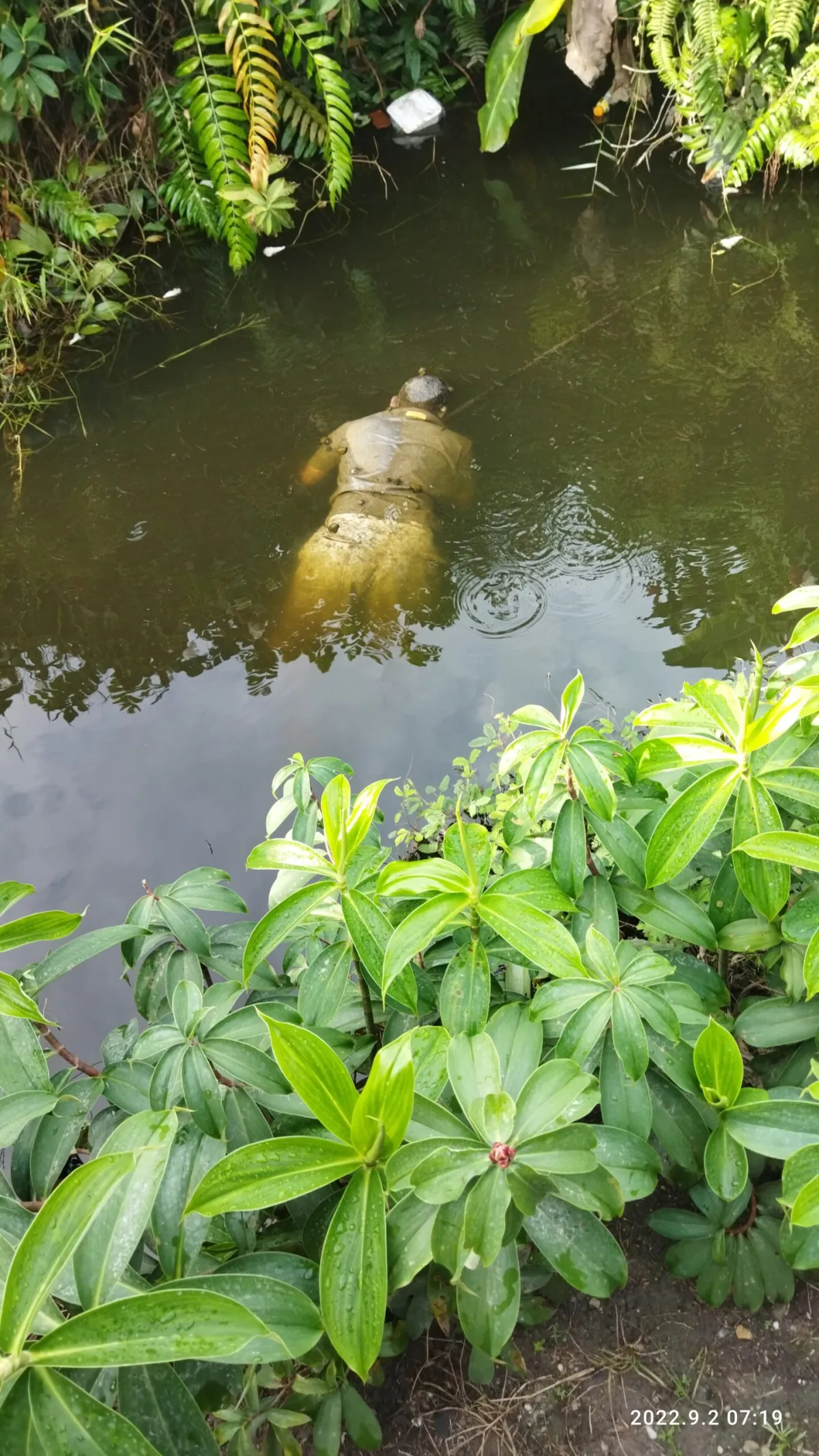 Penemuan Mayat Laki-laki Mengapung di Parit Pangkalan Kerinci