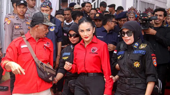 Deretan Artis Indonesia Maju dalam Pilkada 2024