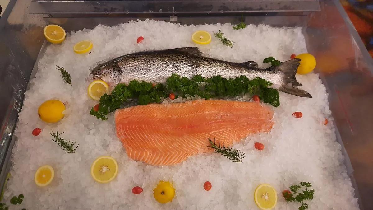 Mengapa Ikan Segar Hanya Dapat Didefinisikan Sebagai Ikan Hidup?