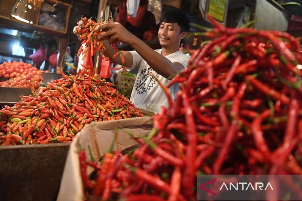 Kenaikan Harga Cabai dan Gerakan Bersih DKI Sambut Ramadhan