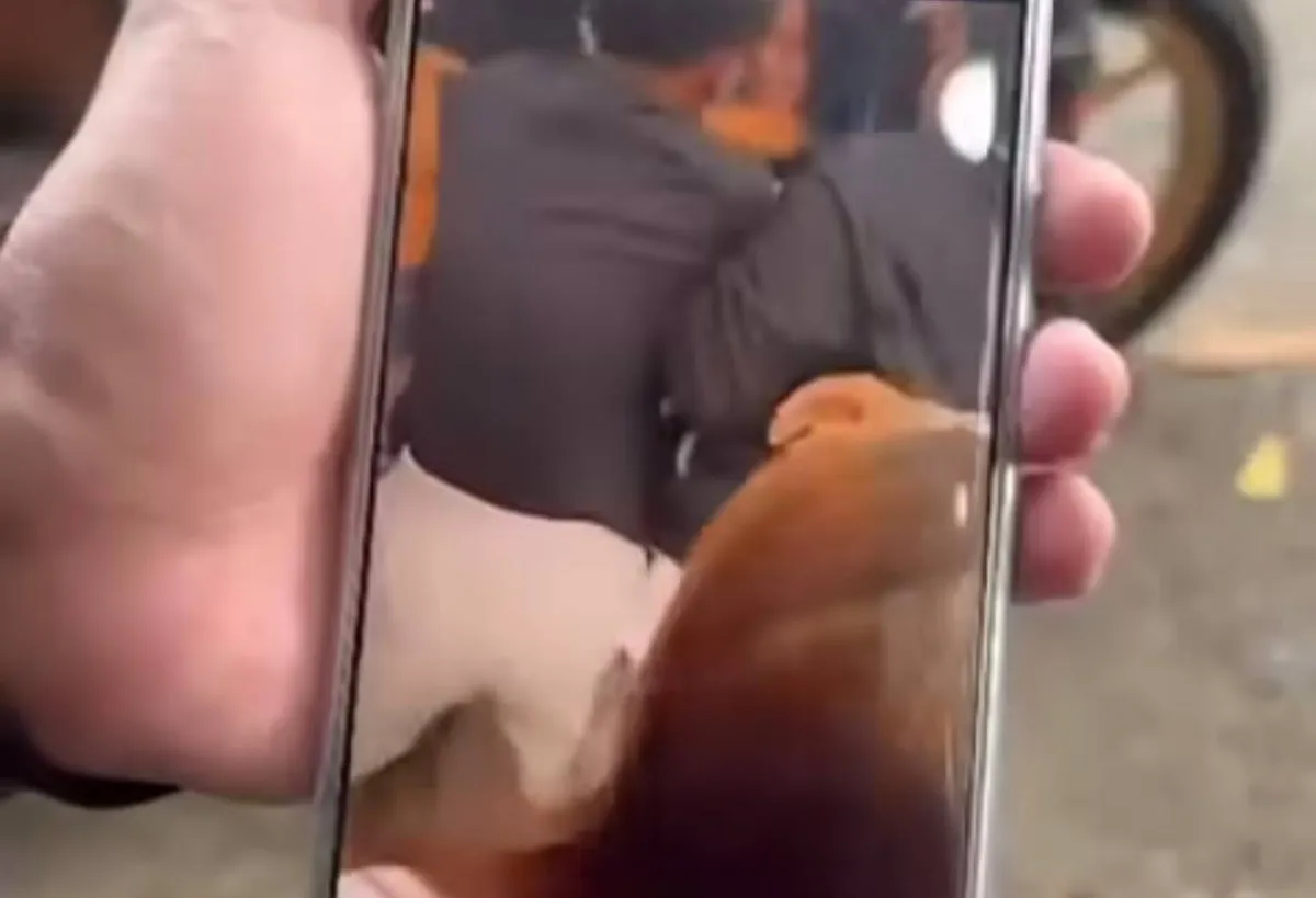 Kericuhan di Parepare Usai Pertandingan Kickboxing, Diduga Akibat Kekalahan
