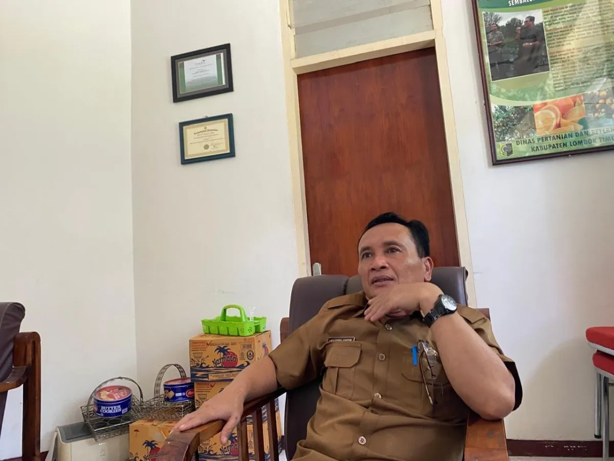 Lotim Kembangkan Enam Kecamatan Baru sebagai Sentra Produksi Bawang Putih