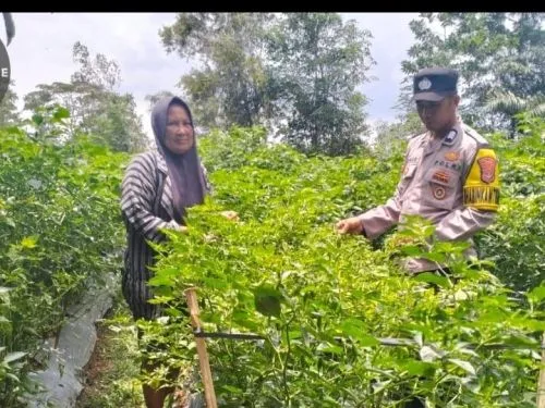 Bhabinkamtibmas Polsek Tanjung Raya Dukung Ketahanan Pangan di Desa Sri Tanjung