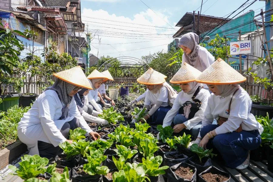 BRI Peduli Rayakan Hari Pangan Sedunia dengan Panen Raya Urban Farming