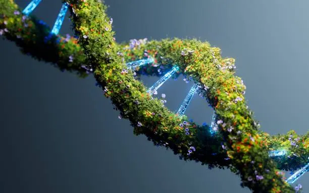 Hari Energi Bersih Internasional: PBB Serukan Transisi Energi Global yang Adil