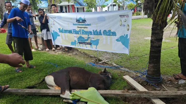Sentra Kemensos Tetap Beroperasi Selama Libur Idul Adha