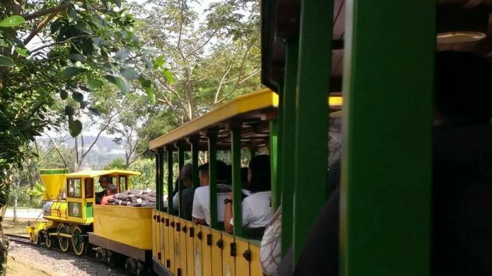 3 Destinasi Wisata Menarik untuk Keluarga di Sukaraja, Bogor