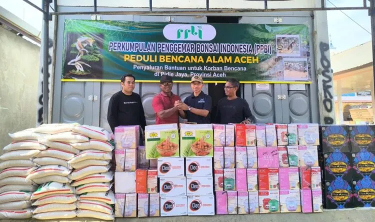 Komunitas Bonsai Berikan Bantuan untuk Korban Banjir di Pidie Jaya