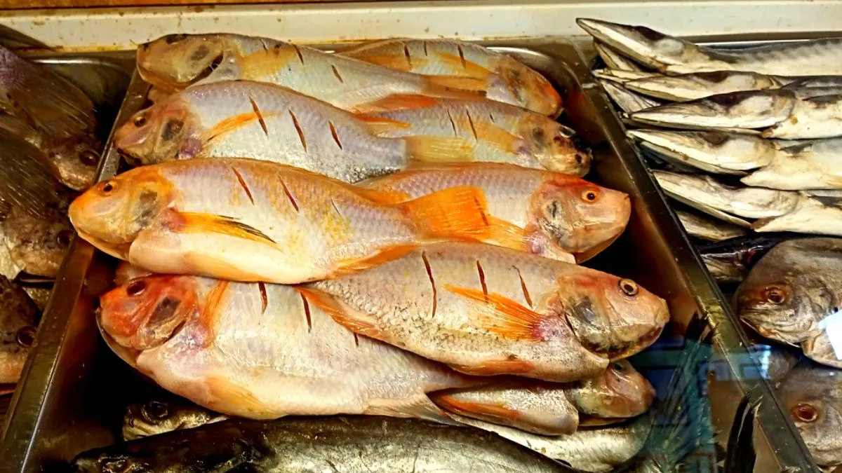 Pasokan Ikan Aman Jelang Ramadhan 2026 di Bandung