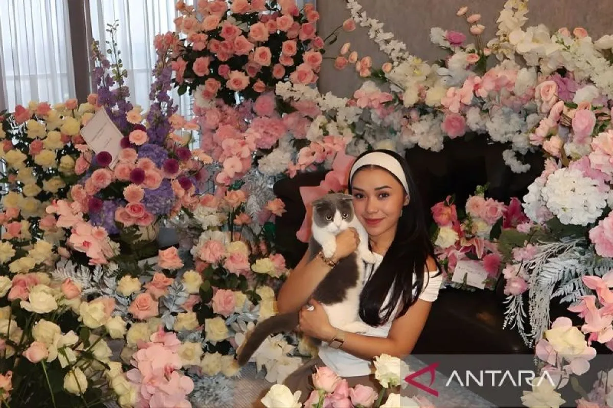 Rekomendasi Diet Sehat untuk Pria Usia 50 Tahun ke Atas