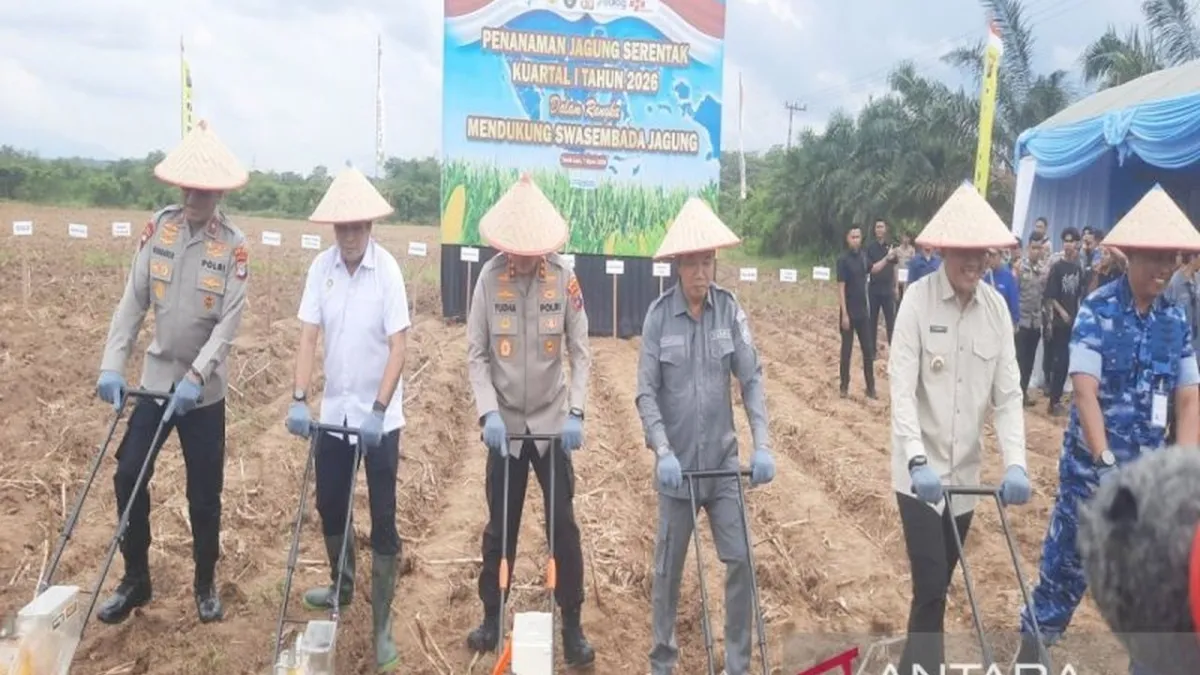 Polda Kalsel Dorong Tanah Laut Jadi Sentra Produksi Jagung untuk Swasembada Pangan