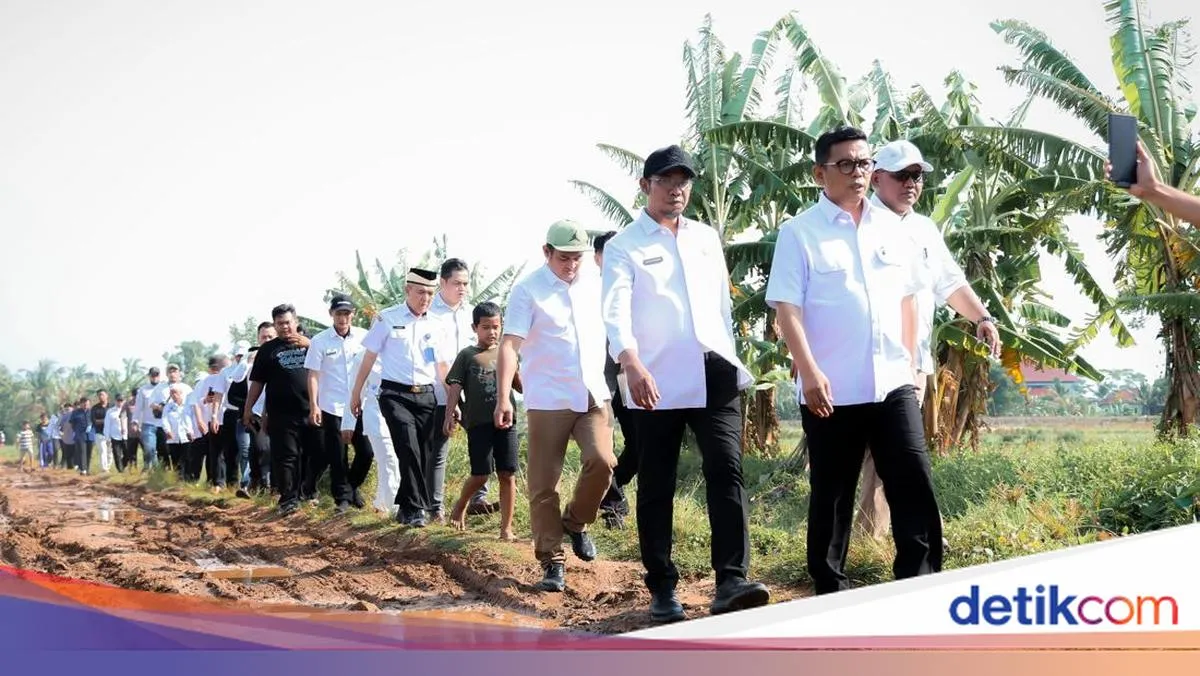 Gubernur Banten Tinjau Jalan Poros Desa Sindang Asih-Badak Anom yang Masih Tanah