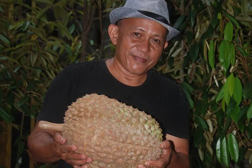 Pengembangan Durian Bawor Meluas di Luar Sentra Aslinya