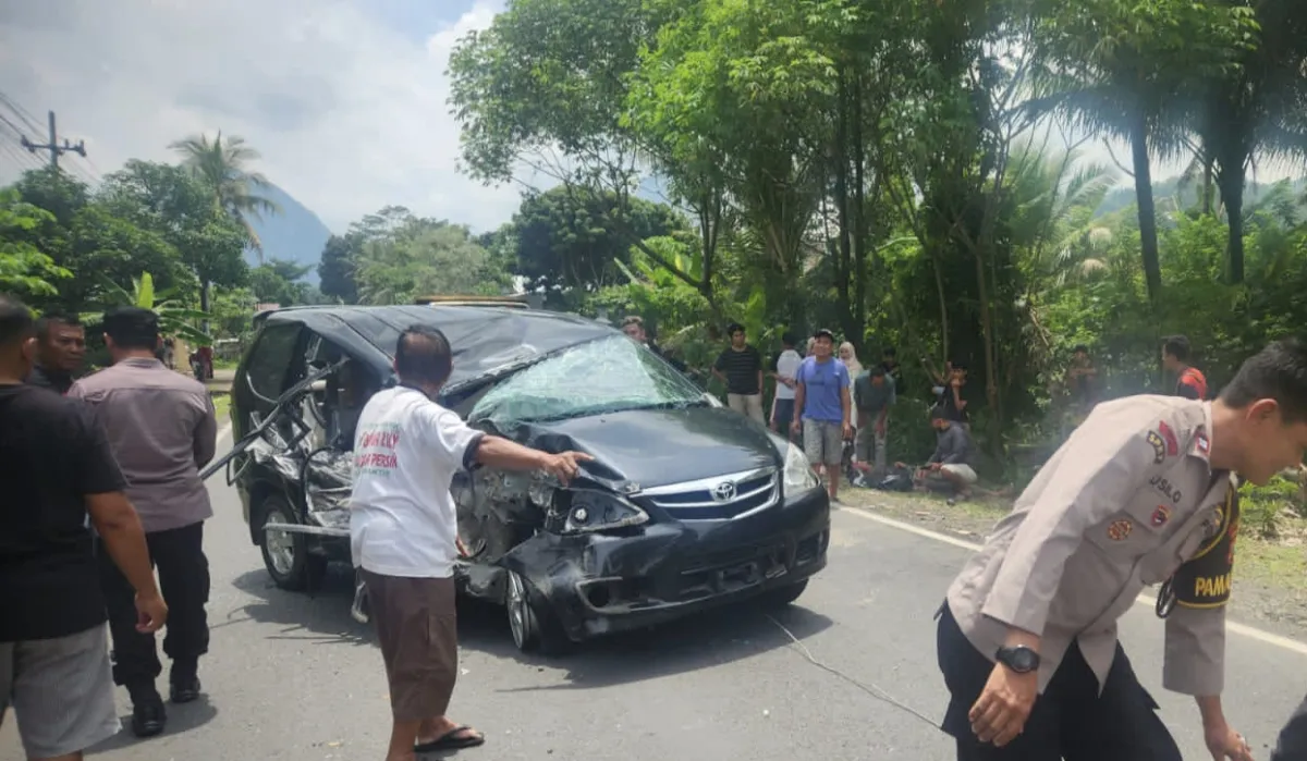 Kecelakaan Fatal di Jalur Pantai Prigi: Avanza Ringsek, Pengemudi Lansia Terluka Serius