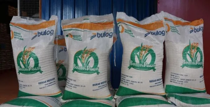 Pemerintah Salurkan 664 Ribu Ton Beras untuk 33 Juta Penerima Bansos