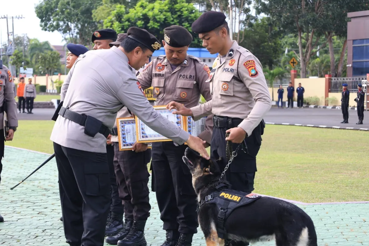 Kapolda Babel Tekankan Pentingnya Kolaborasi dan Profesionalitas dalam Upacara Penghargaan