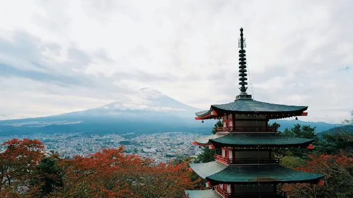 Pemerintah Fujiyoshida Batalkan Festival Bunga Sakura untuk Lindungi Warga